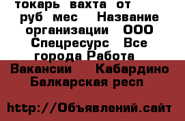 токарь. вахта. от 50 000 руб./мес. › Название организации ­ ООО Спецресурс - Все города Работа » Вакансии   . Кабардино-Балкарская респ.